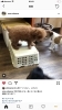 「動画♡︎( ´ ` )   ぜひ見てください」