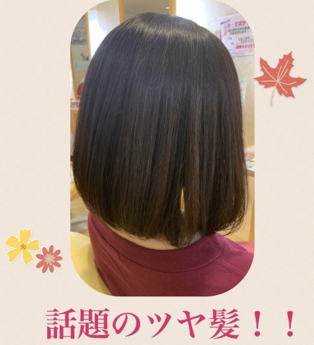 「shimaの美髪革命！！！」