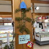 上松地域では、がやの木を使用するようです。「2月3日節分 『節分豆』販売中！」