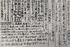 「豊明市で鮪や海鮮料理を食べるなら『よってっ亭』で！」