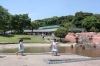 10月5日 土 豊川市赤塚山公園のふれあいイベント 豊川市赤塚山公園 ぎょぎょランド のニュース まいぷれ 豊橋 田原