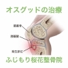 オスグッドの治療もふじもり桜花整骨院で ふじもり桜花整骨院のニュース まいぷれ 八王子市