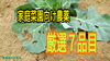 「＜家庭菜園向け農薬＞農薬の使い方　殺虫剤編　タネのハシモト」