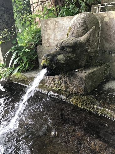 金剛霊泉「【差し上げます】運氣上がるよう邪氣祓いいたしま！開運バー安心ひとり飲み」