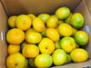 「みかん入荷しています！【野菜・果物は清武の黒木商店で♪】」