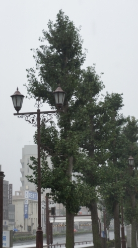 「台風19号の影響・午後2時」