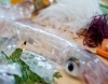 ひなびた港町「呼子(よぶこ)」から全国に名を馳せた食の一大ブランド「イカの活造り」。 その日に水揚げされいけすに泳ぐ新鮮なイカを素早く調理。 透明な身はコリコリとした歯ごたえで、他では味わえない甘みと旨みが魅力。