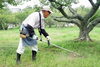 激安草刈り伐採キレイ新居浜店「愛媛県新居浜市の草刈り代行は激安草刈り伐採キレイ新居浜店にお任せください！ （四国中央市、西条も可能です。）」