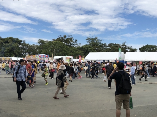 「11：00「ええじゃないか豊橋まつり」」