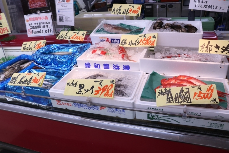 下処理無料「八千代市、佐倉市の鮮魚店  　勝田台から徒歩10分　 魚や山粋（ヤマスイ) 【20日(日)地魚下処理無料】」