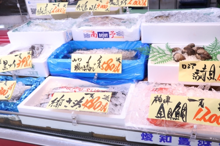 下処理無料「八千代市、佐倉市の鮮魚店  　勝田台から徒歩10分　 魚や山粋（ヤマスイ) 【22日(火)地魚下処理無料】」