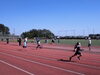 「『みんなでスポーツ（市川市）』」