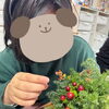 ヒペリカムを刺していくよ！「あかとんぼでの季節のイベント☆花育実施！本物の植物を使ってクリスマスツリー作り🎄《子どもたちのお困り事を解決！高松市の児童発達支援・放課後等デイサービス》」