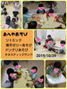 「お部屋遊び 楽しいね   交野市 小規模保育園」