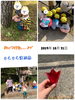 「みぃつけた☆。.:＊・゜【交野市 小規模保育園】」