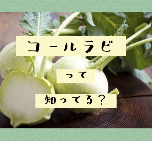 「☆旬のお野菜情報☆」