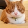 「ﾞ質の良い睡眠ﾞ取ってますか(^-^;)」