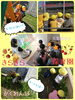 「かくれんぼ☆  [交野市・小規模保育園]」
