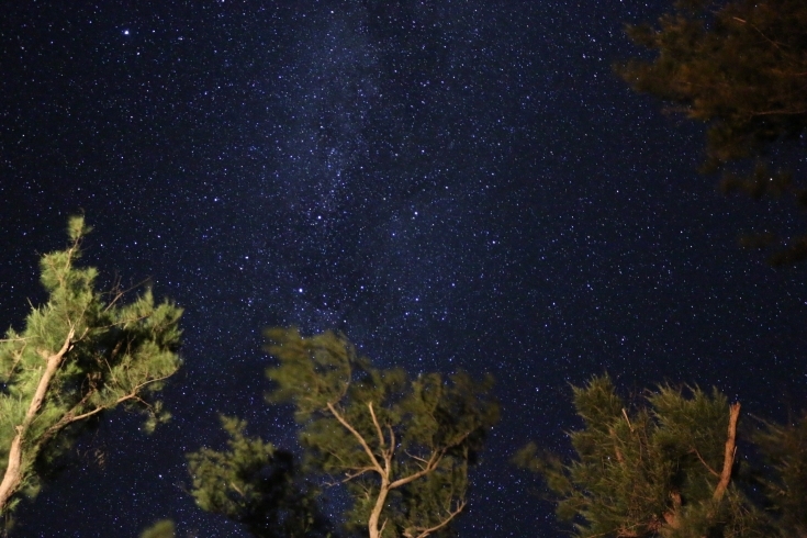 「星空お裾分け」