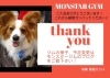看板犬ロイくん！「看板犬のいるお店【ダイエットやストレス発散におススメ！キッズクラスもあります◎】」