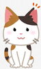 「猫の不妊手術費用の一部が補助されます」