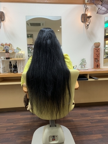 腰付近まである髪の毛。6年間の成果です！「 ＊6年間伸ばして、60センチ越えのヘアドネーション！＊」