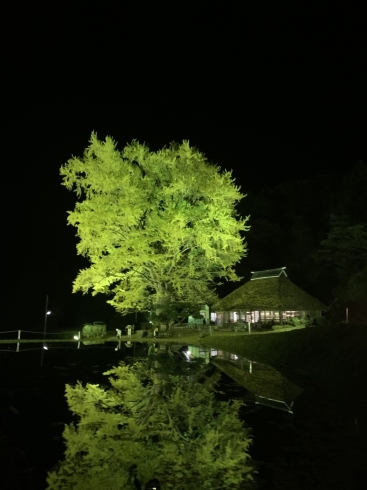 「仁多町　金言寺600年の歴史」