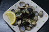 「11月09日　本日のおすすめ品！！」