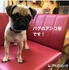 4ケ月半で初めてのサロン体験。「初めてのサロン体験♡」