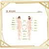 脱毛範囲が広い 脱毛専門サロン Lillian リリアン 米子店のニュース まいぷれ 米子