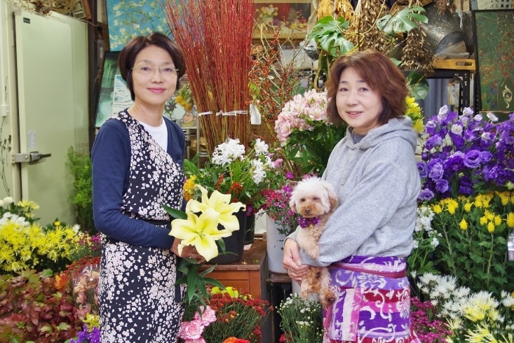 松原京極商店街 お店紹介 花貞 松原京極商店街振興組合のニュース まいぷれ 京都市下京区 東山区