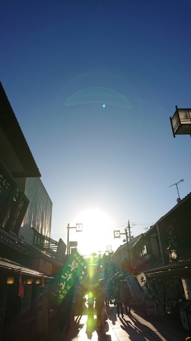 眩しい光に包まれた柴又帝釈天参道「連日賑わっています！【柴又の歌姫 八ッ橋敬子】」