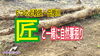 「匠と自然薯掘り!!!　タネのハシモト」
