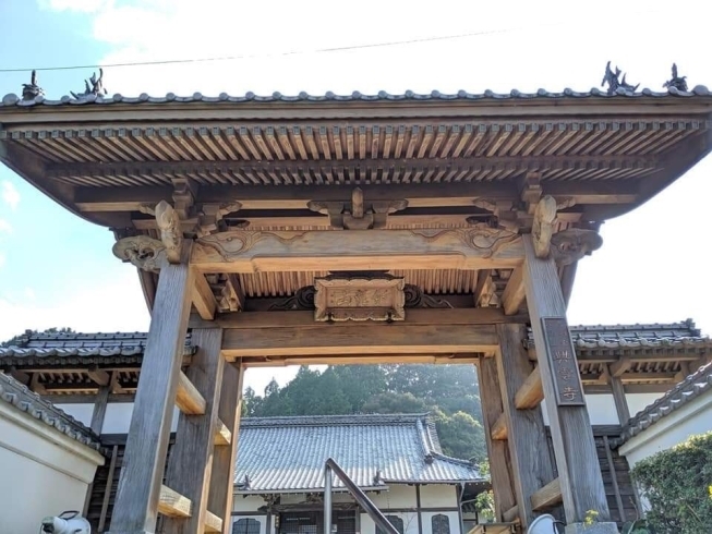 興雲寺「西条市小松町の『興雲寺』の秋は、心が落ち着きます。」