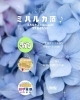 可愛すぎる！ワークショップ「☘6月10日 ミハルカ酒♪イベント出店します☘」