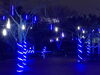 夜の西大畑公園に、光の雨？「おすすめスポット新潟市中央区西大畑公園の「NIIGATA☆ひかりの公園」」