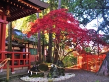 生島足島神社の紅葉