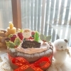 クリスマスレッスンについて✨✨