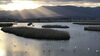 「11月のオオヒシクイ案内所を開設しました」