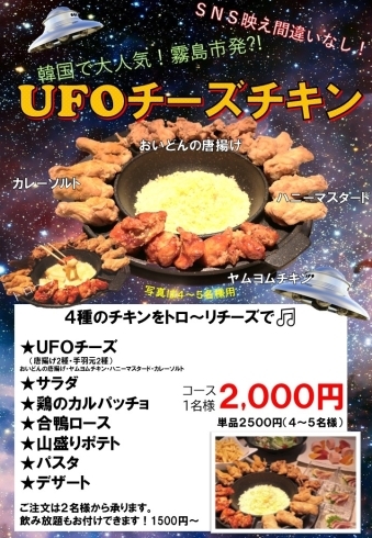 新登場 Ufoチーズチキン みやま本舗グループのニュース