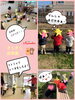 「今日のおさんぽ♡【交野市・小規模保育園】」