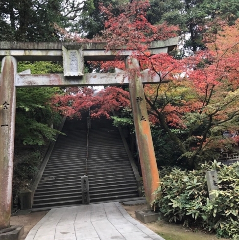 「石鎚神社の秋も深まっています（11/23撮影）」