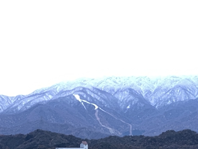 二ノックスも一晩で半分真っ白。「年末調整は「所得の額」に注意しよう！ 」