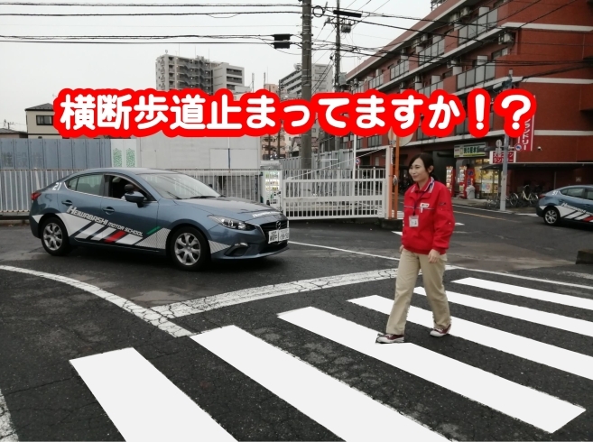 「日本人の８割以上が守らない横断歩道　【平和橋自動車教習所】」
