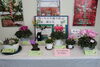 「『市川産花の展示（市川市）』」
