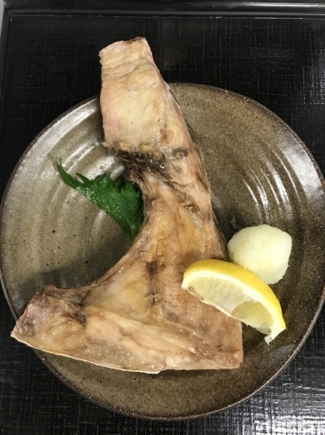 ブリカマの塩焼き「おはようございます☀️本日12/1(月)のおすすめmenu✨焼魚定食……¥850-(ブリカマの塩焼き)です。」