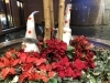 「Christmasがいっぱいです★」