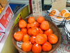 （1）富士柿「柿が勢ぞろい！【野菜・果物は清武の黒木商店で♪】」