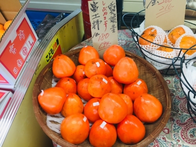 （1）富士柿「柿が勢ぞろい！【野菜・果物は清武の黒木商店で♪】」