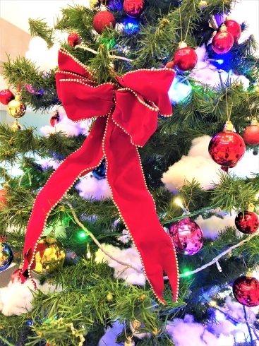 「水の駅「ビュー福島潟」1階にクリスマスツリーを飾りました!!」
